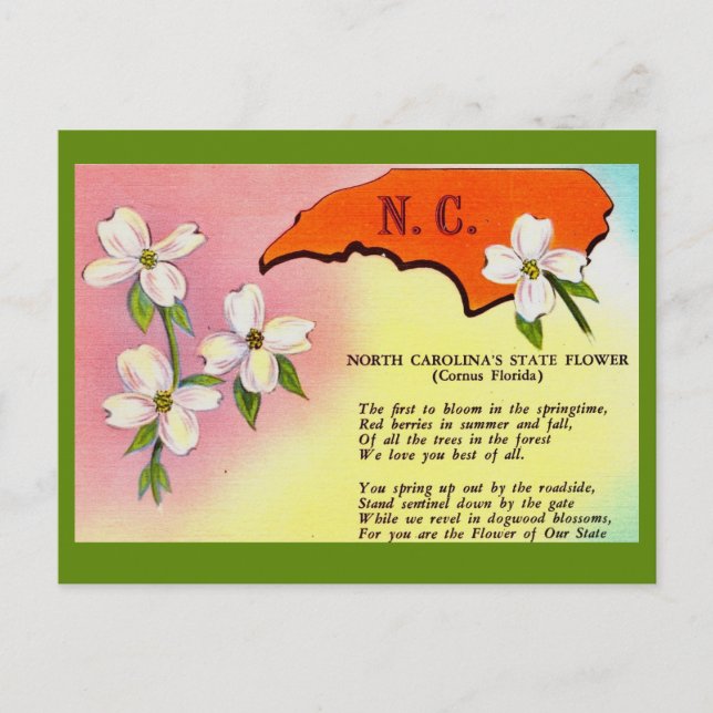 North Carolina Staat Blume Postkarte (Vorderseite)