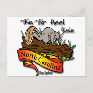 North Carolina Tar Heel Staat Grau Eichhörnchen Postkarte