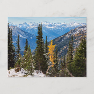 North Cascade Mountains Wenatchee National Forest Postkarte