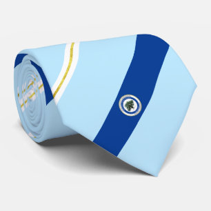 North Charleston (S. Carolina) Stadtflagge Neck Ti Krawatte