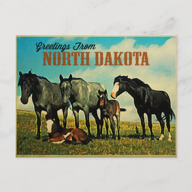 North Dakota Nokota Pferde Postkarte (Vorderseite)