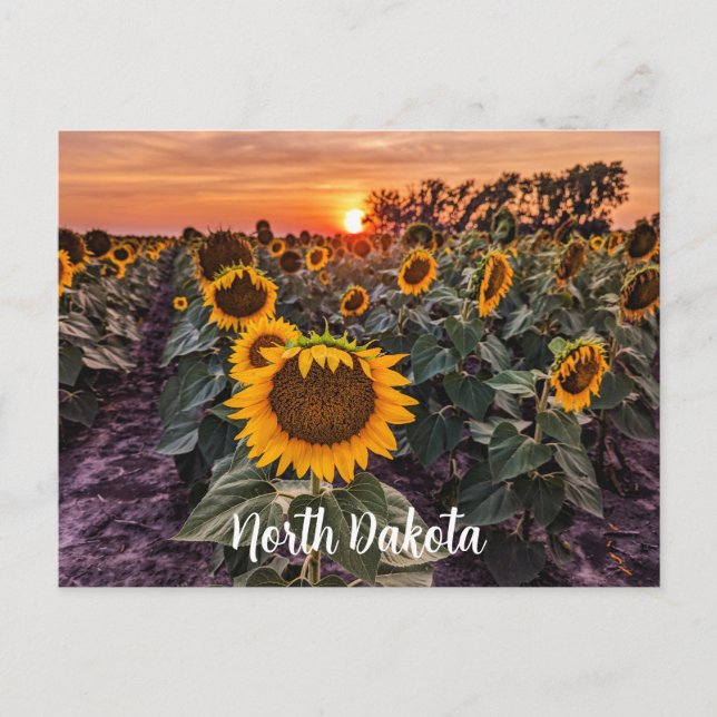 North Dakota Postcard Postkarte (Vorderseite)