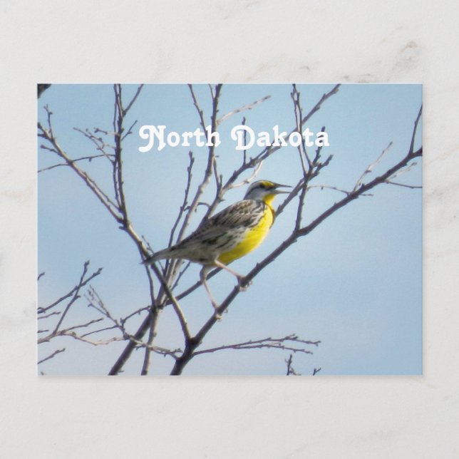 North Dakota Postkarte (Vorderseite)