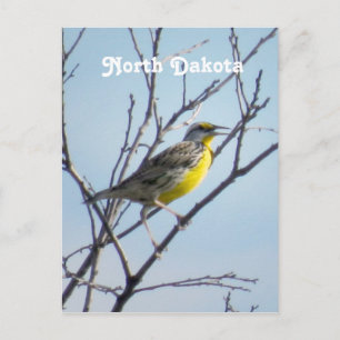 North Dakota Postkarte