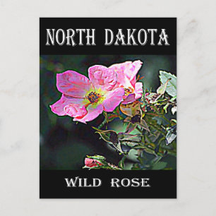 North Dakota Wild Rose Postkarte