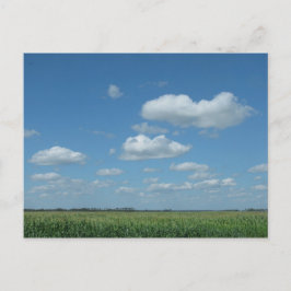 North- Dakotamais-Feld Postkarte