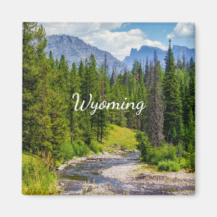 North Fork Shoshone Magnet