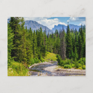 North Fork Shoshone River Blank Post Card Postkarte