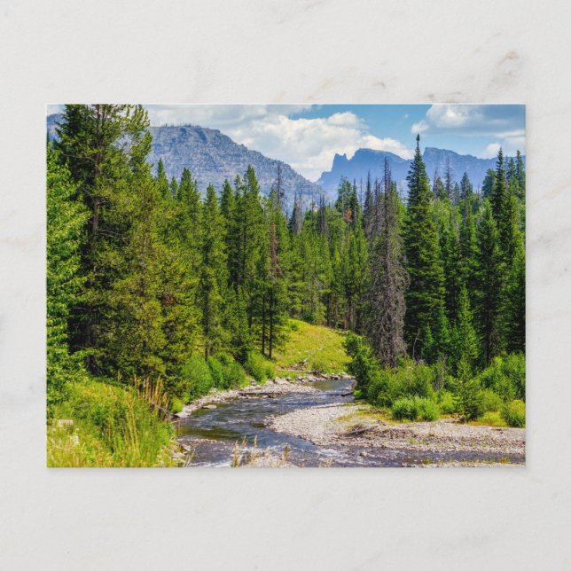 North Fork Shoshone River Blank Post Card Postkarte (Vorderseite)