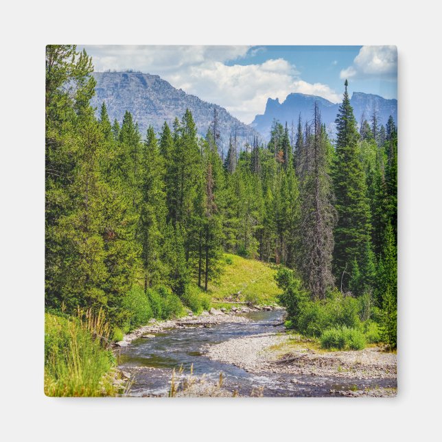 North Fork Shoshone River Magnet (Vorne)