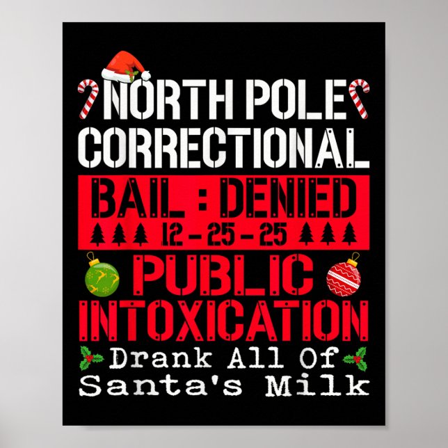 North Le Public Intoxication Drank All Of Santa's  Poster (Vorne)