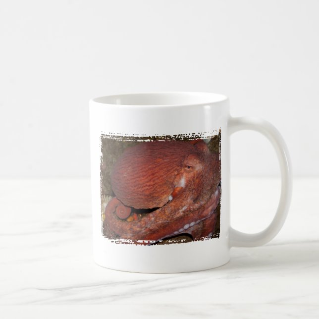 North- Pacificriese-Krake Kaffeetasse (Rechts)