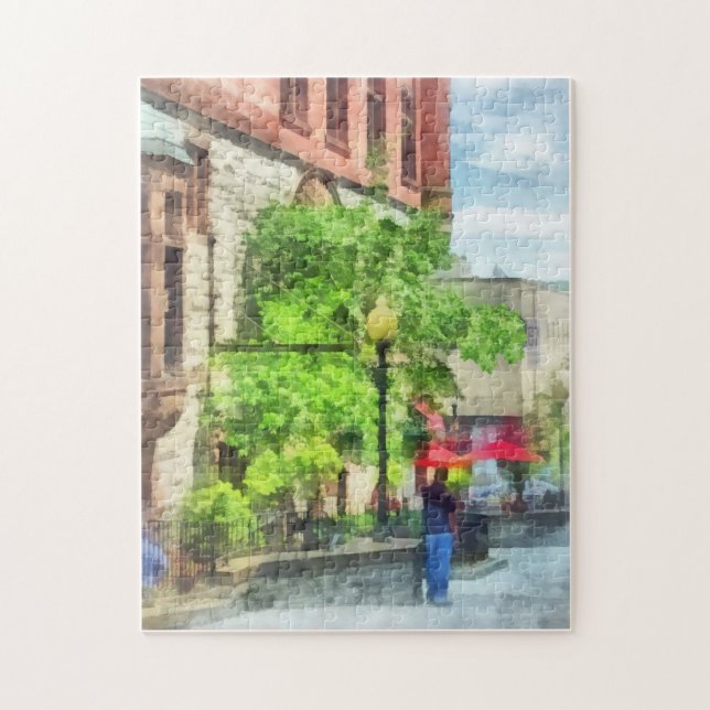 North Pearl Street, Albany, NY (Vertikal)