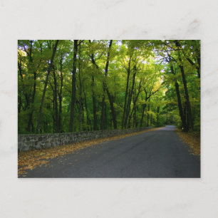 North Shore Drive Postkarte