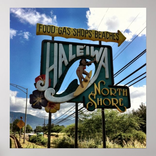 North Shore Oahu Hawaii Poster (Vorne)