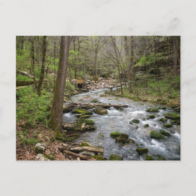 North Sylamore Creek Postkarte (Vorderseite)