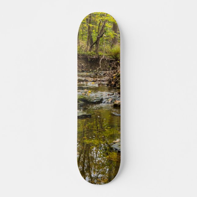 North Wears Creek Skateboard (Vorne)