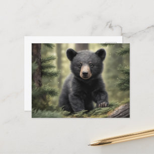North Woods Little Black Bar Cub Postcard Postkarte
