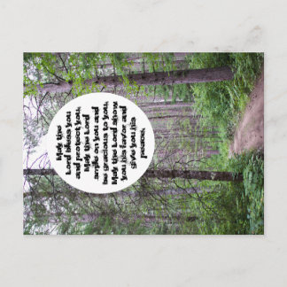 North Woods Sessing Postkarte