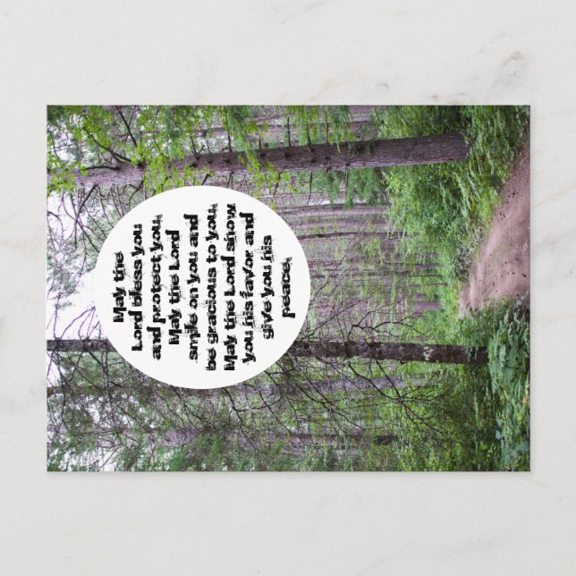 North Woods Sessing Postkarte (Vorderseite)