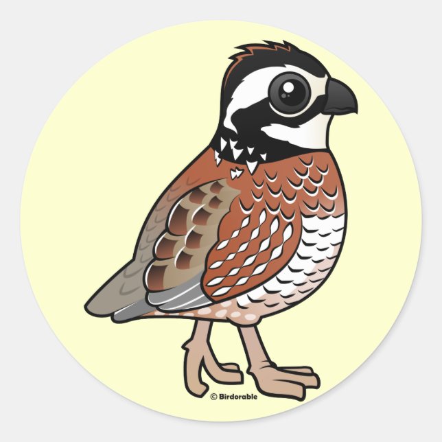 Northern Bobwhite Runder Aufkleber (Vorderseite)
