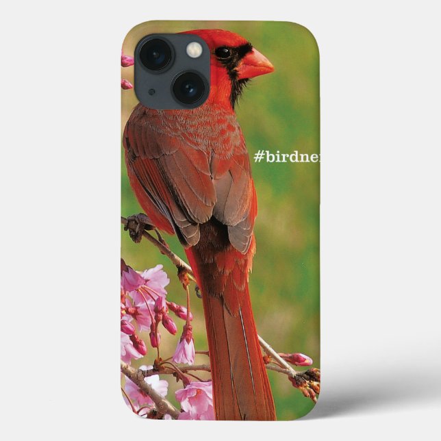 Northern Cardinal Case-Mate iPhone Hülle (Rückseite)