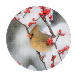 Northern Cardinal female on Common Winterberry Schneidebrett