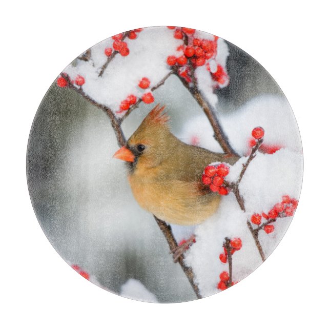 Northern Cardinal female on Common Winterberry Schneidebrett (Vorderseite)