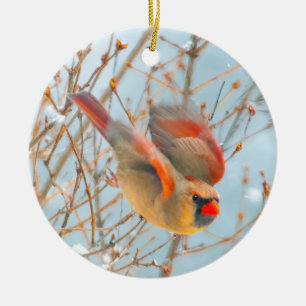 Northern Cardinal Flying - Original Photograph Keramik Ornament