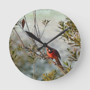 Northern Cardinal in Wax Myrtle Runde Wanduhr