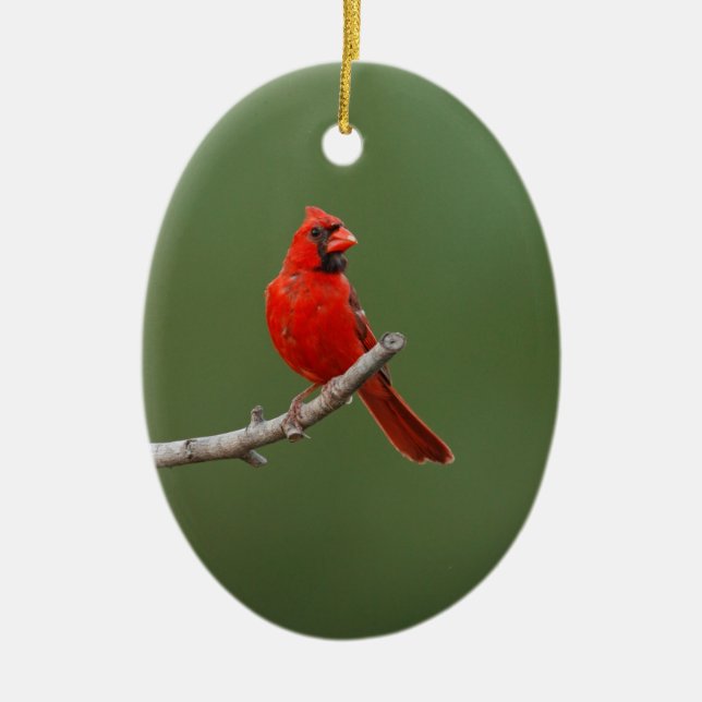 Northern Cardinal Keramik Ornament (Vorne)