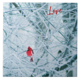 Northern Cardinal on Snowy Branches Fliese