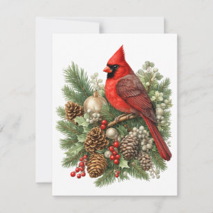 Northern Cardinal Winter Songbirds Kollektion Mitteilungskarte