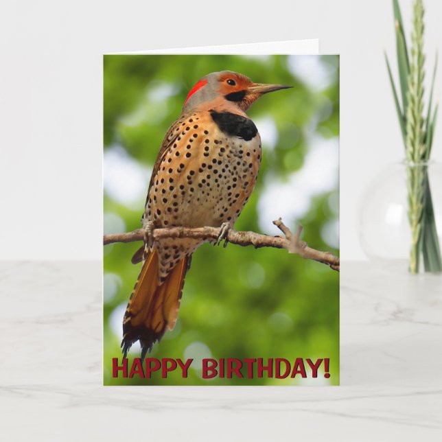 Northern flicker, anpassbare Grußkarte Karte (Vorderseite)