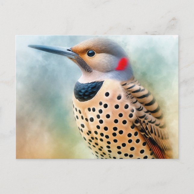 Northern Flicker Bird Art Postkarte (Vorderseite)