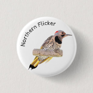Northern Flicker Button
