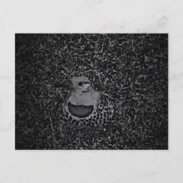 Northern Flicker Woodpecker v1 - Yard Critters Postkarte