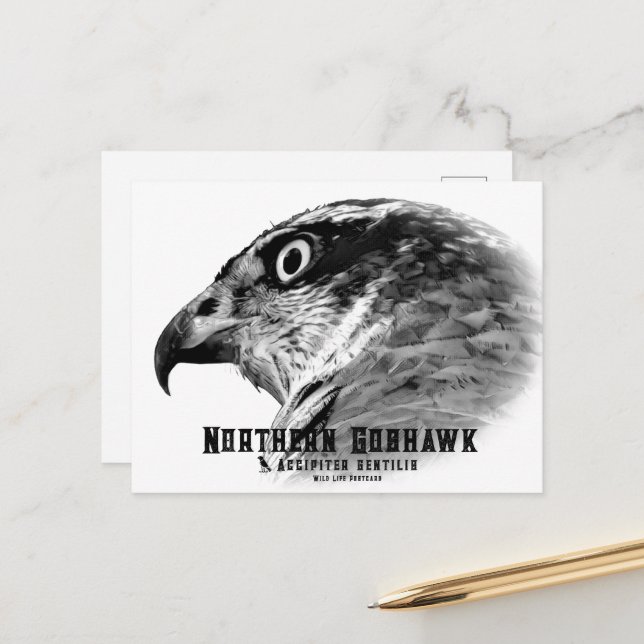 Northern Goshawk Postkarte (Vorderseite/Rückseite Beispiel)