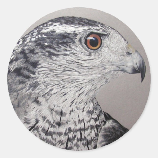 Northern Goshawk Runder Aufkleber (Vorderseite)