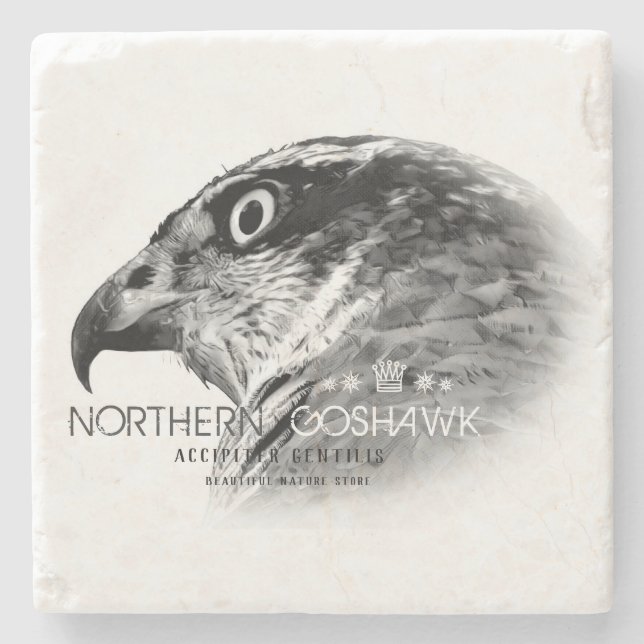 Northern Goshawk Steinuntersetzer (Vorderseite)