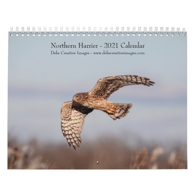 Northern Harrier 2021 Kalender (Titelbild)