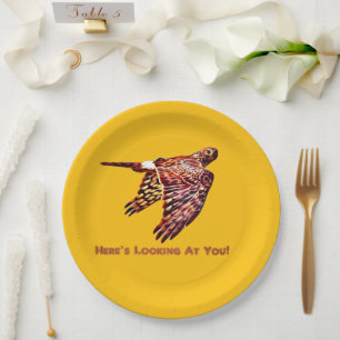 Northern Harrier, schauend dich an Pappteller
