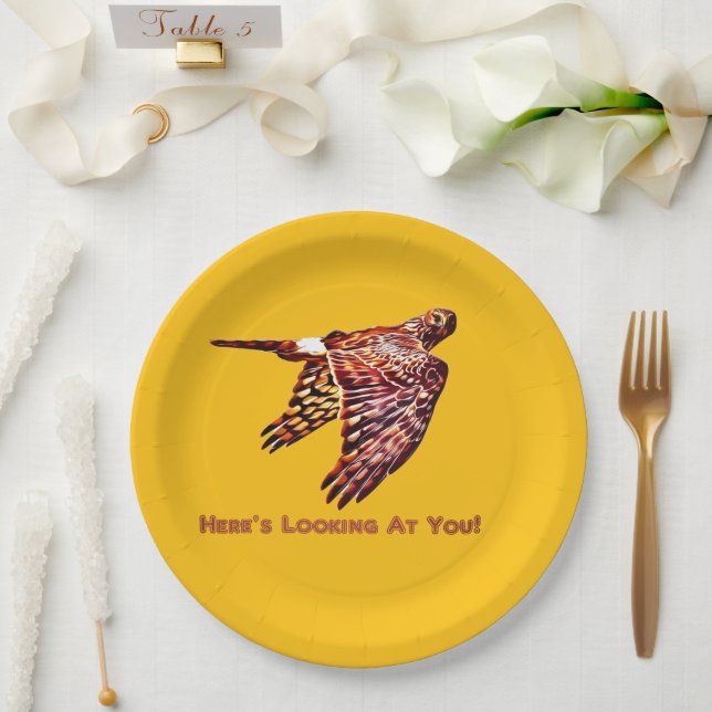 Northern Harrier, schauend dich an Pappteller (Hochzeit)