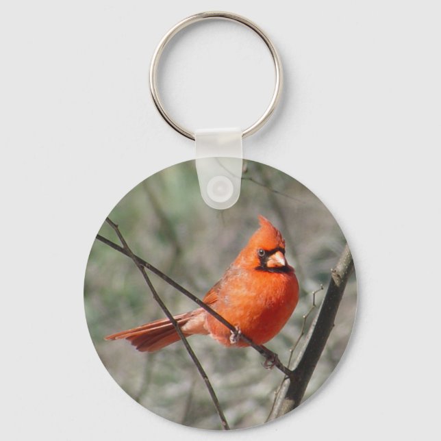 Northern Kardinal Bird Schlüsselanhänger (Vorderseite)