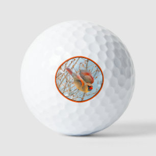 Northern Kardinal Flying - Original Fotografie Golfball