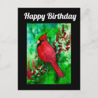 Northern Kardinal Handsome Happy Birthday