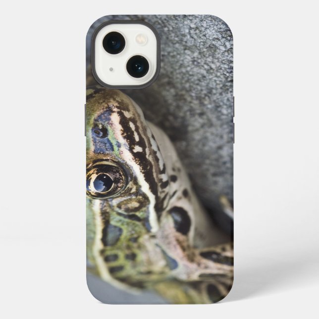 Northern Leopard frog, See-through Island, iPhone Hülle (Rückseite)
