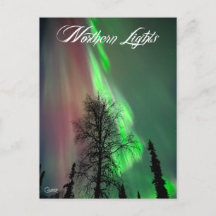 Northern Lights 2 - Carte postale