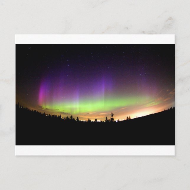Northern Lights Alaska Sky Night Postkarte (Vorderseite)