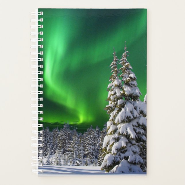 Northern lights during winter planer (Vorderseite)